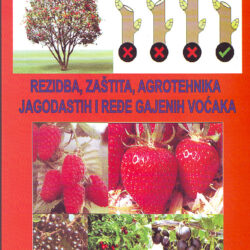 Slika, Rezidba, zaštita i agrotehnika jagodastih i ređe gajenih voćaka 1