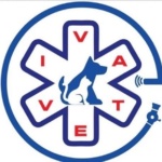Veterinarski Centar za Minimalno Invazivnu Hirurgiju – IVAVET (1)